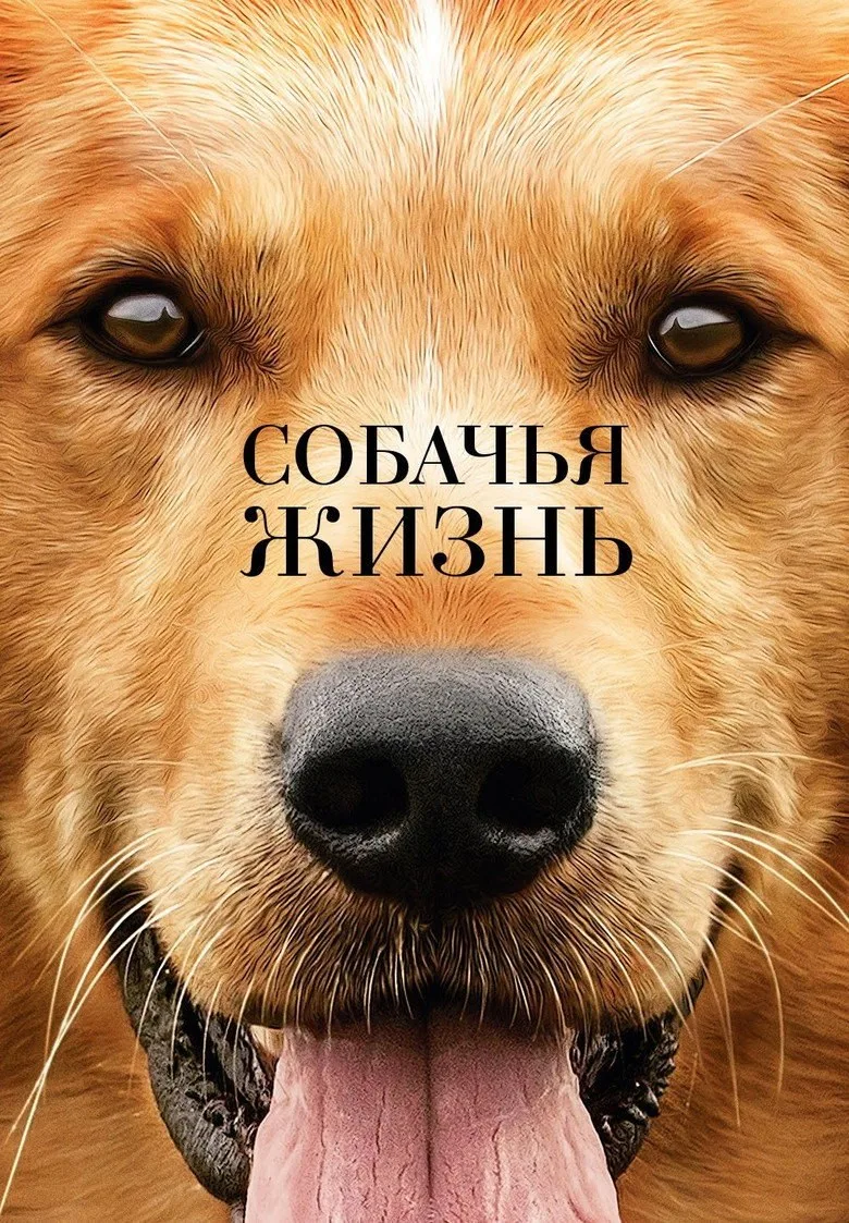 Постер Собачья жизнь