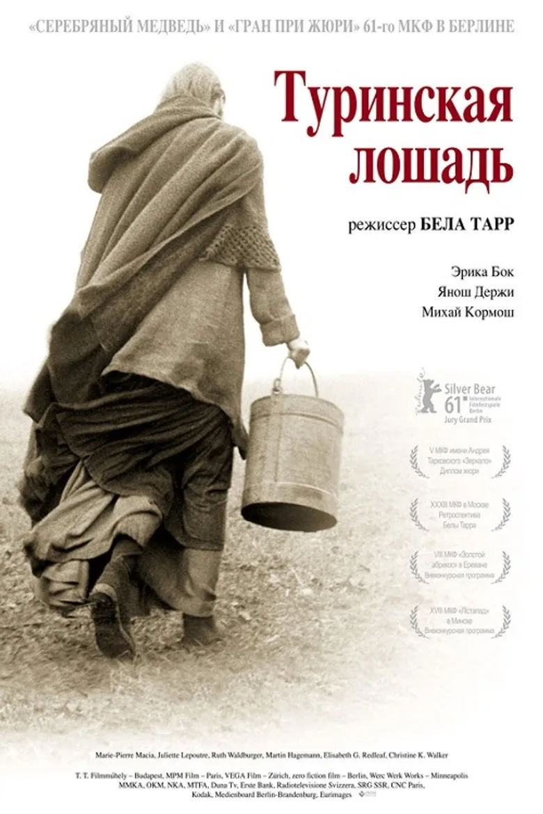 Постер Туринская лошадь