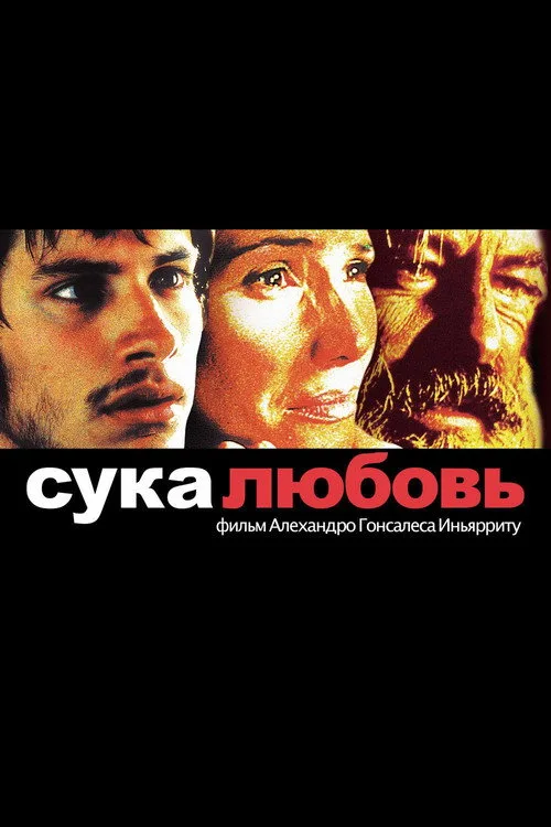Постер «Сука-любовь» 2