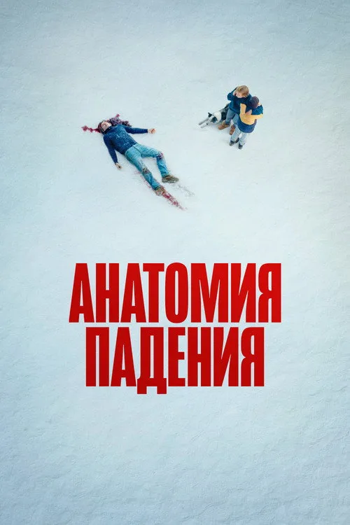Постер «Анатомия падения» 4