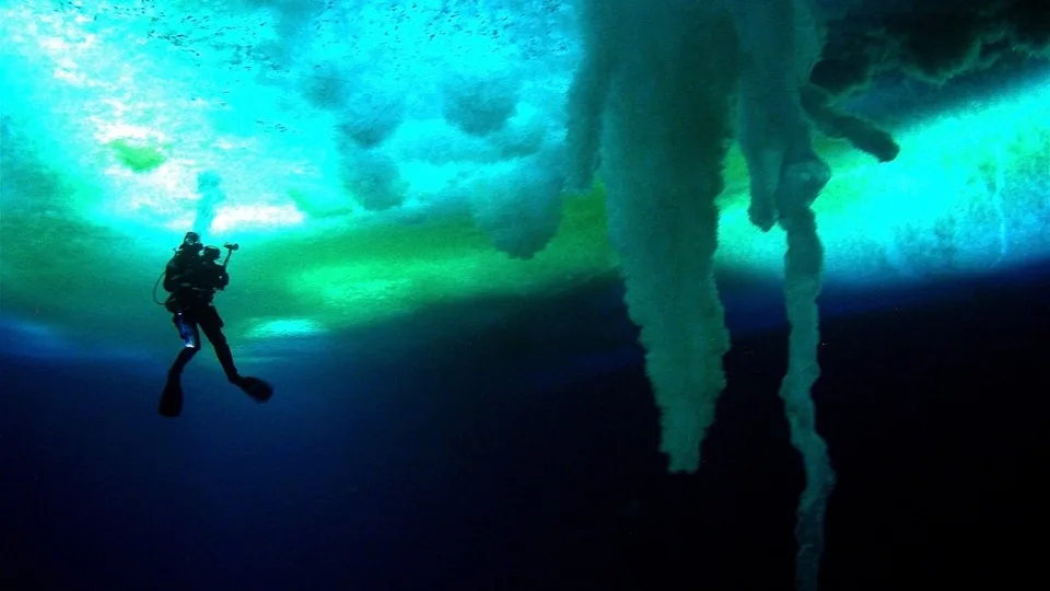 Кадр из фильма «Встречи на краю света» 1
