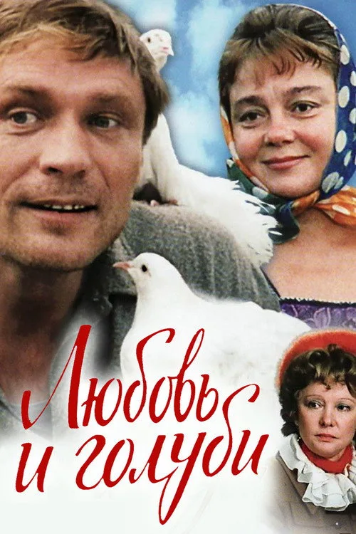 Постер «Любовь и голуби» 4