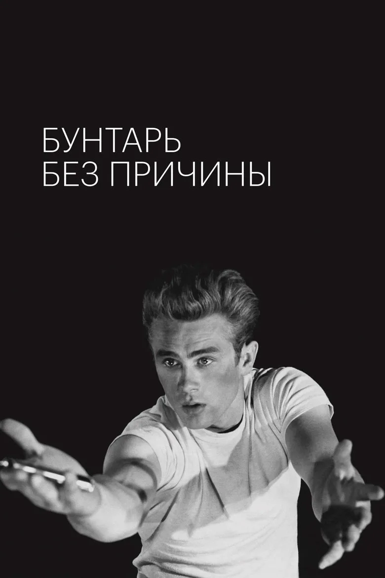 Постер Бунтарь без идеала