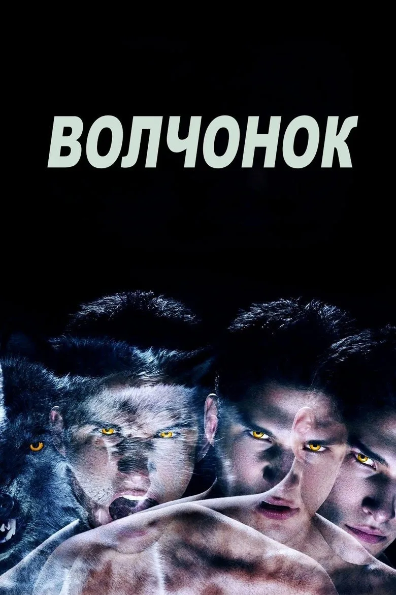 Постер Волчонок