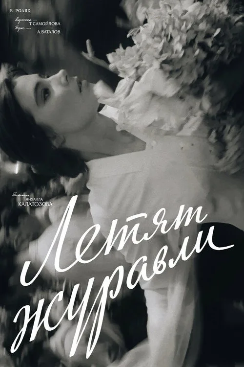 Постер «Летят журавли» 3