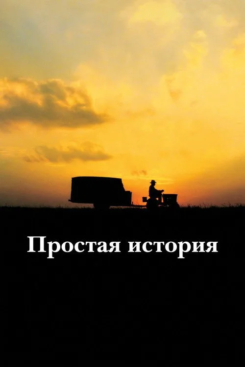 Постер «Простая история» 3