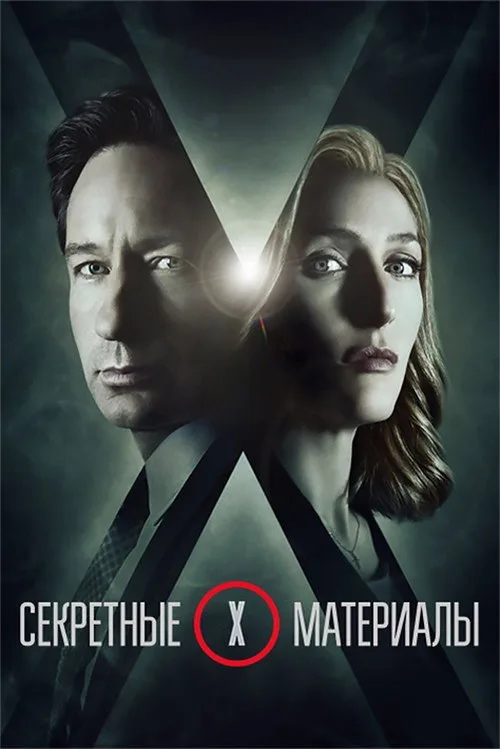 Постер «Секретные материалы» 1