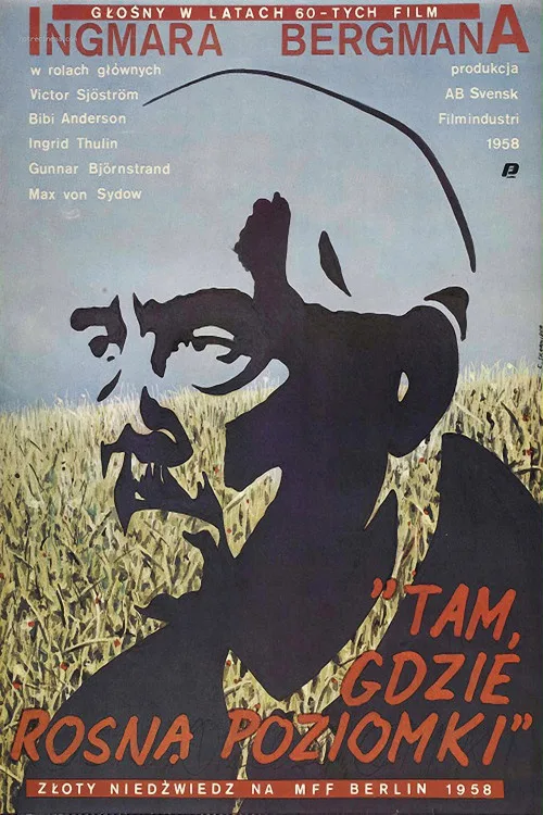 Постер «Земляничная поляна» 1